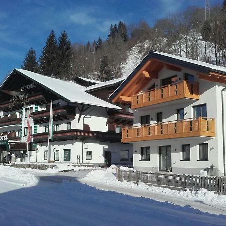 Appartement Kerry Schladming Dış mekan fotoğraf